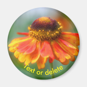 Aimant Fleur de Zinna Daisy jaune orange personnalisée