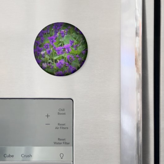 Aimant Fleur d'État du Wisconsin : Lumière de violet de b (In situ (réfrigérateur))