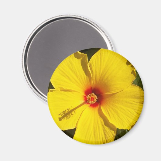 Aimant Fleur d'Hibiscus jaune (Recto/Verso)