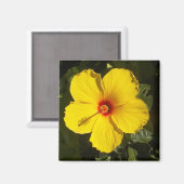 Aimant Fleur d'Hibiscus jaune (Recto/Verso)