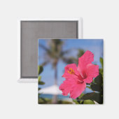 Aimant Fleur d'hibiscus rose (Recto/Verso)