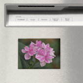 Aimant Fleur d'Hydrangea Rose (In Situ (Lave-vaisselle))
