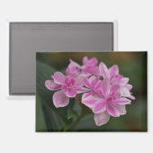 Aimant Fleur d'Hydrangea Rose (Recto/Verso)