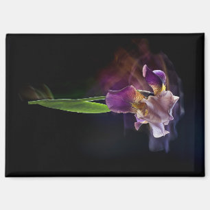 Aimant Fleur d'iris abstraite – Art floral élégant