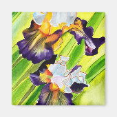 Aimant Fleur d'iris floral aquarelle (Devant)