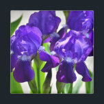 Aimant Fleur d'Iris pourpre<br><div class="desc">Un cadeau parfait pour la personne dans votre vie dont la fleur préférée est l'iris.  Ces Irises sont violets avec des tiges vertes.  Vibrant et délicat.</div>