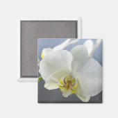 Aimant Fleur d'orchidée blanche (Recto/Verso)
