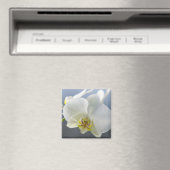 Aimant Fleur d'orchidée blanche (In Situ (Lave-vaisselle))