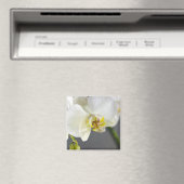 Aimant Fleur d'orchidée blanche (In Situ (Lave-vaisselle))