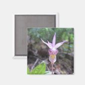 Aimant Fleur d'orchidée Fairyslipper (Recto/Verso)