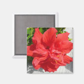 Aimant Fleur double hibiscus rouge (Recto/Verso)