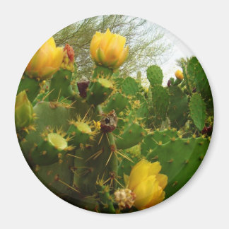 Aimant Fleur du désert