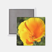 Aimant Fleur du pavot de Californie (Recto/Verso)