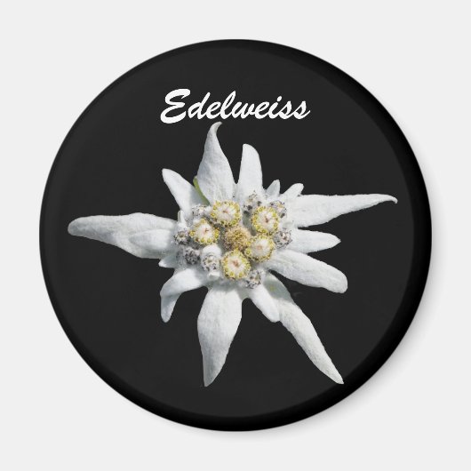 Aimant Fleur Edelweiss (Devant)
