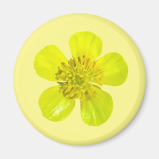 Aimant Fleur en beaming Buttercup - transparent. (Devant)