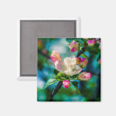 Aimant Fleur et bourgeons de pommes de terre (Recto/Verso)