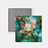 Aimant Fleur et bourgeons de pommes de terre (Recto/Verso)