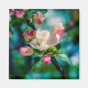 Aimant Fleur et bourgeons de pommes de terre