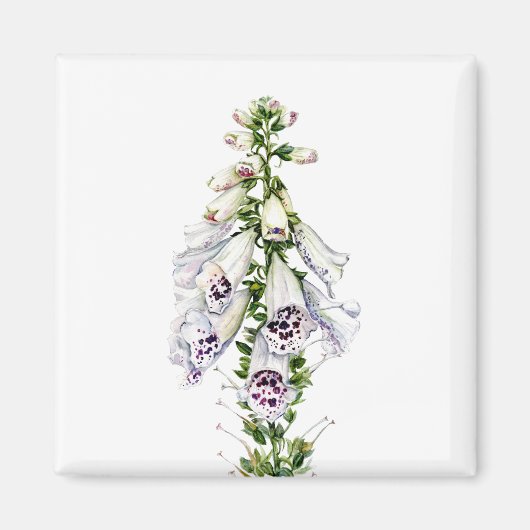 Aimant Fleur Foxglove (Devant)