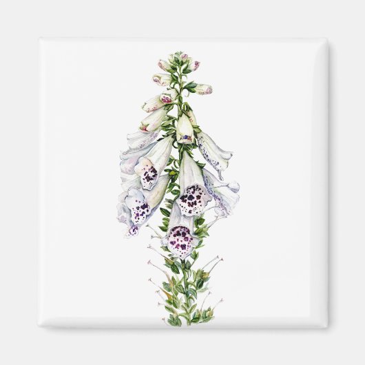 Aimant Fleur Foxglove (Devant)