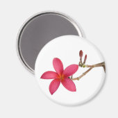 Aimant Fleur Frangipani rouge (Recto/Verso)