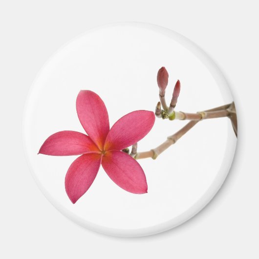 Aimant Fleur Frangipani rouge (Devant)