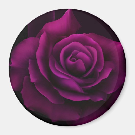 Aimant Fleur gothique de rose violet-rouge (Devant)