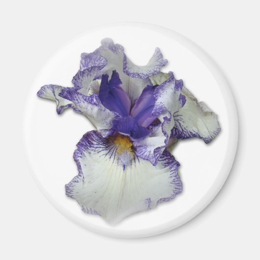 Aimant Fleur Iris à fond bleu et blanc (Devant)