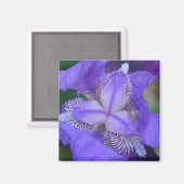 Aimant Fleur Iris bleu violet (Recto/Verso)
