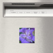 Aimant Fleur Iris bleu violet (In Situ (Lave-vaisselle))