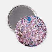 Aimant Fleur japonaise de cerisier (Recto/Verso)