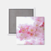 Aimant Fleur japonaise de cerisier (Recto/Verso)