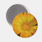 Aimant - Fleur jaune avec gouttes d'eau (Recto/Verso)