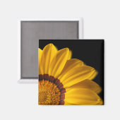 Aimant Fleur jaune sur arrière - plan noir (Recto/Verso)