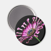 Aimant Fleur marguerite africaine (Recto/Verso)