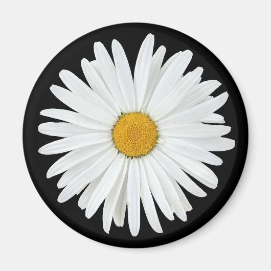 Aimant Fleur marguerite blanche sur Floral noir (Devant)