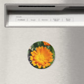 Aimant fleur marigée (In Situ (Lave-vaisselle))