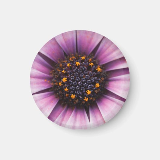 Aimant fleur milieu (Devant)