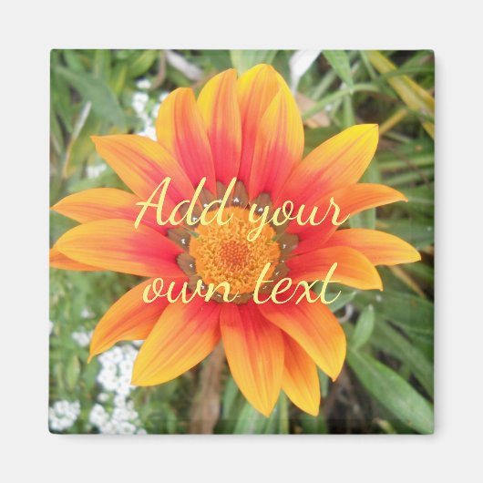 Aimant Fleur Orange Simple Texte Personnalisé (Devant)