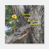 aimant - fleur où vous êtes planté (Devant)