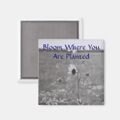 Aimant Fleur Où Vous Êtes Plantés (Recto/Verso)