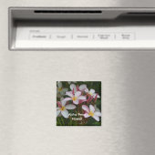 Aimant Fleur Plumeria (In Situ (Lave-vaisselle))