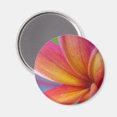Aimant Fleur Plumeria Tropicale Rose Profond Jaune Orange (Recto/Verso)