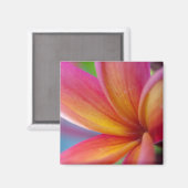 Aimant Fleur Plumeria Tropicale Rose Profond Jaune Orange (Recto/Verso)