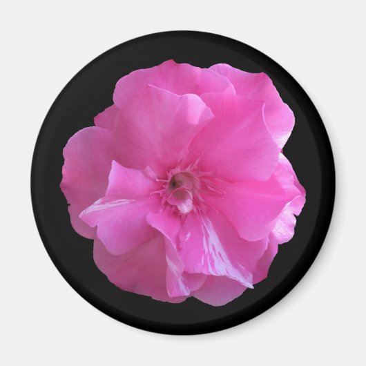 Aimant Fleur rose (Devant)