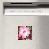 Aimant Fleur rose (In Situ (Lave-vaisselle))