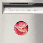 Aimant - Fleur Rose avec gouttes d'eau (In Situ (Lave-vaisselle))