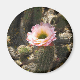 Aimant Fleur rose de cactus