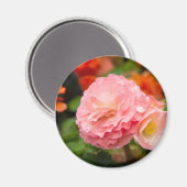 Aimant Fleur rose délicate après la pluie (Recto/Verso)