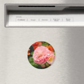 Aimant Fleur rose délicate après la pluie (In Situ (Lave-vaisselle))